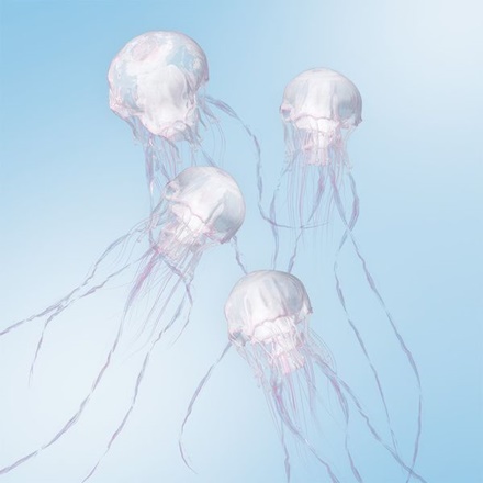 あなたへ(Anatae)